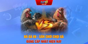 Đá gà 88 - Sân chơi chọi gà đẳng cấp nhất hiện nay