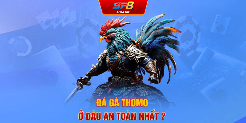 Đá gà Thomo ở đâu an toàn nhất?