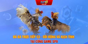 Đá gà trực tiếp C3 sôi động và kịch tính tại cổng game SP8