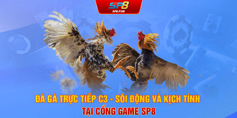 Đá gà trực tiếp C3 sôi động và kịch tính tại cổng game SP8