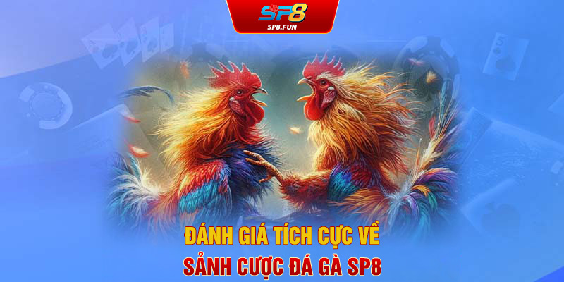 Đánh giá tích cực về sảnh cược đá gà SP8