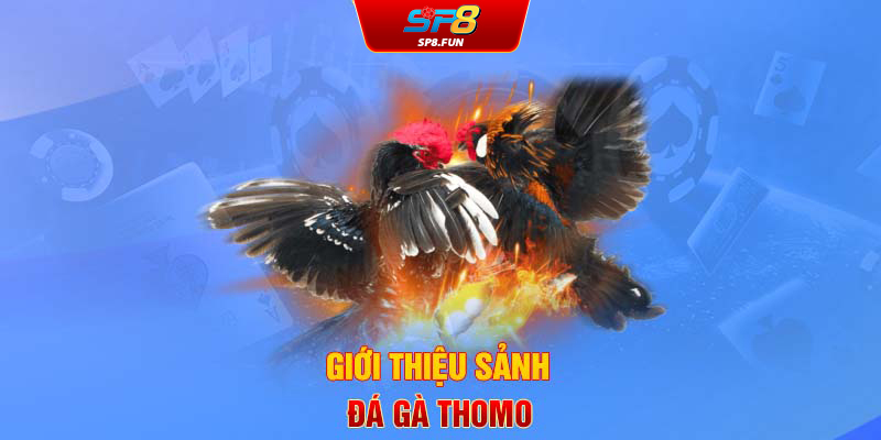 Giới thiệu sảnh đá gà Thomo