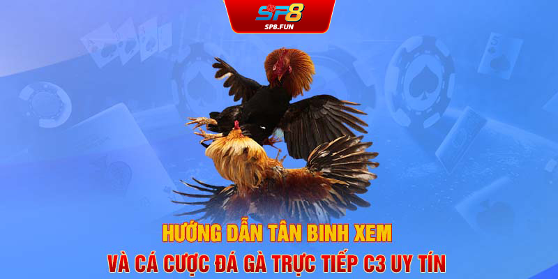 Hướng dẫn tân binh xem và cá cược đá gà trực tiếp C3 uy tín