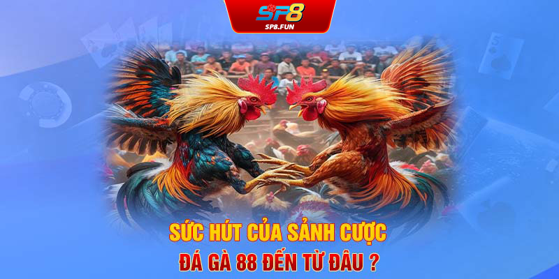 Sức hút của sảnh cược đá gà 88 đến từ đâu?