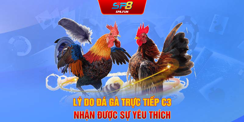 Lý do đá gà trực tiếp C3 nhận được sự yêu thích