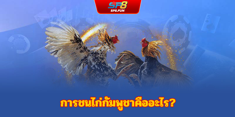 ไก่ชนกัมพูชาคืออะไร?