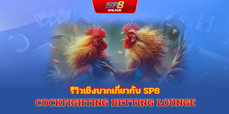 จุดเด่นของแพลตฟอร์มไก่ชน sp8bet