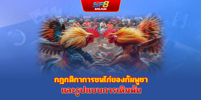 กติกาการเล่นไก่ชนกัมพูชาและรูปแบบการเดิมพัน