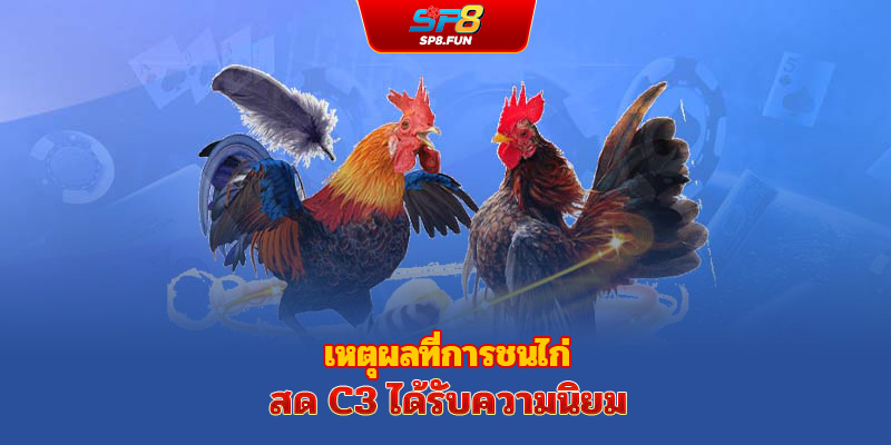 เหตุผลที่ไก่ชนถ่ายทอดสด C3 ได้รับความนิยม